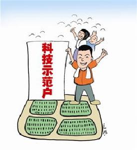 林科所稳步推进本地核桃良种选育工作