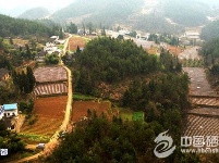 （锐眼看恩施）三岔抢搭马铃薯主粮化快车