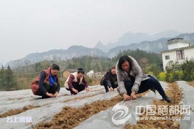 沙　地：别样体验庆“三八”