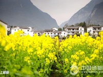 麂子渡“农旅合一”春意浓