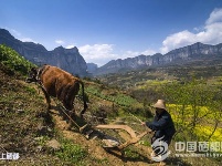 花园屯堡全域旅游脱贫春光烂漫