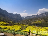 花园屯堡全域旅游脱贫春光烂漫