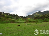 姿态万千鳝孔坝