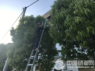 太阳河：治理“乱拉线” 清除“蜘蛛网”