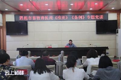 开设学习《准则》《条例》专题党课