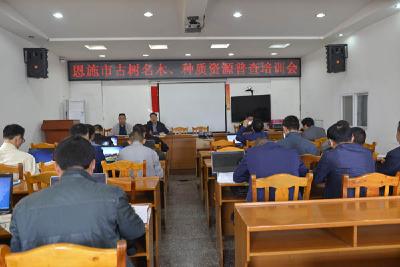 恩施市开展第二轮古树名木资源普查