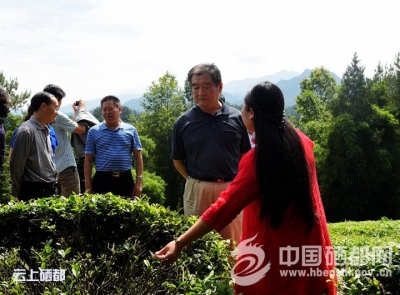 省政协副主席王振有到恩施市调研