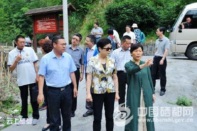 上海市政协考察恩施市特色民俗文化工作