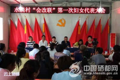 恩施州首个村妇联在崔家坝选举产生