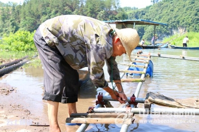 白杨坪：村民自发清理网箱养鱼