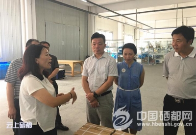省经信委、省商务厅调研督办恩施市招商引资工作（图）