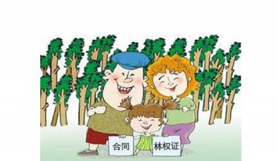 恩施市林业局被表彰为“全国集体林权制度改革先进集体”