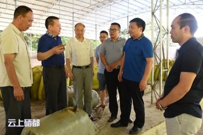 市领导督察畜禽养殖污染治理工作