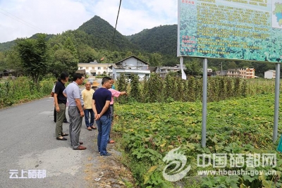 新　塘：湖北省环科院到风险点调研土壤状况