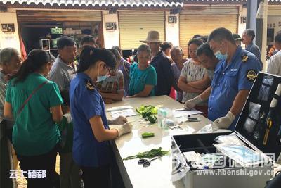屯　堡：“食品安全免费快检日”活动成定势（图）