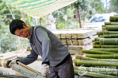 （脱贫先锋）龙业兵：糙手编织脱贫梦想（图）