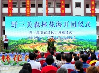 巴东野三关花海　迎四方宾客赏花纳凉