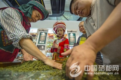 （硒都探硒）恩施玉露茶制作工艺引人醉（图）