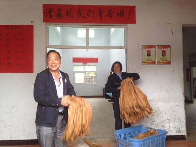 市烟叶：“党员先锋岗”增效益