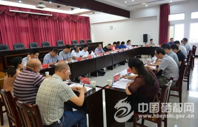 苏勇主持召开市十届人民政府第13次常务会（图）
