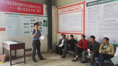 市烟叶：大力推广烟叶适用技术