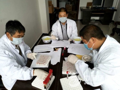 红　土：畜牧部门加强布鲁氏菌病疫情防控（图）