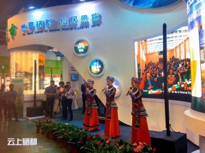 国家级非物质文化遗产项目助力硒博会