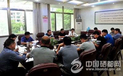 苏勇督办国际茶叶大会暨硒博会筹备工作(图)
