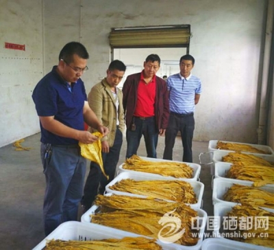 盛家坝：烟叶收购工作有序开展