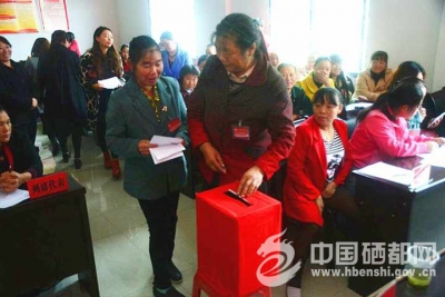 白果“会改联”换届选举工作顺利推进