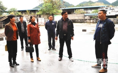 市领导到崔坝龙凤督办“户户通”工程建设进度(图)