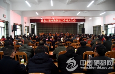 苏勇：依法阳光拆迁 加快推进金龙大道南段建设