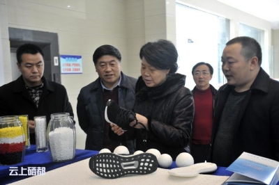 省人社厅厅长肖菊华赴恩施市调研