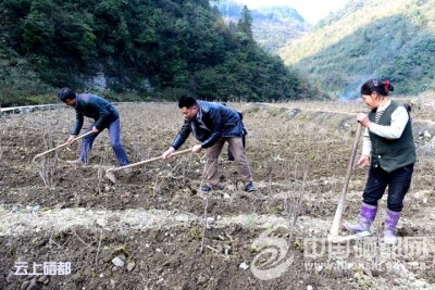 新时代里访乡村：产业升级转型的石门坝答卷