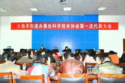 六角亭：顺利完成科协换届选举工作（图）