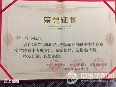 全省少先队辅导员技能竞赛 恩施教师获佳绩