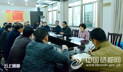 恩施市专题研究城区出口路等项目建设（图）