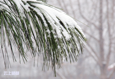 颜　英：雪落崔坝