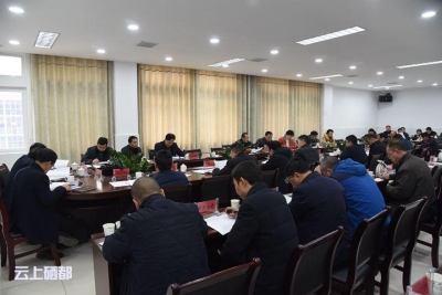 苏勇主持召开政府党组（扩大）会议和第21次常务会议