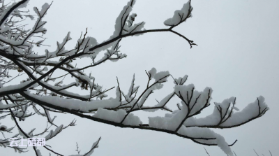 恩施市国省干线全面启动扫雪防滑模式