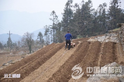 三岔镇加快推进马铃薯长廊建设