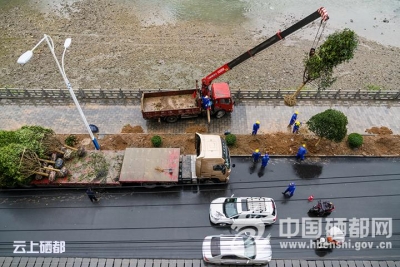 （州城新变）绿化扮靓城市“气质”