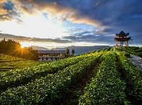 (乡村振兴观察)花园屯堡生态文明建设纪实