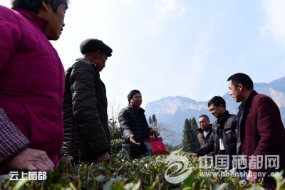 当好脱贫致富“小轴承”