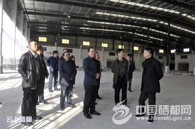 苏勇：紧盯目标再强举措  加快项目建设进度 