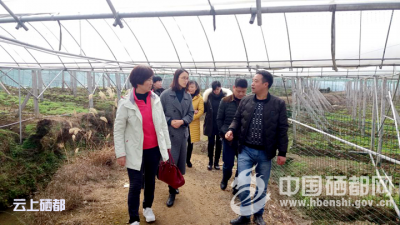 市人大机关产业调研庆“三八”