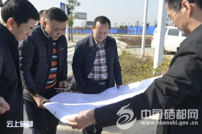苏勇：保姆式服务重点项目建设及企业发展