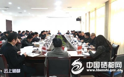 恩施市全力防范化解金融风险做实金融扶贫