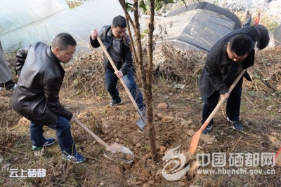 三岔干部职工义务植树忙