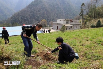 市检察院：干警“植树春风”助力产业扶贫